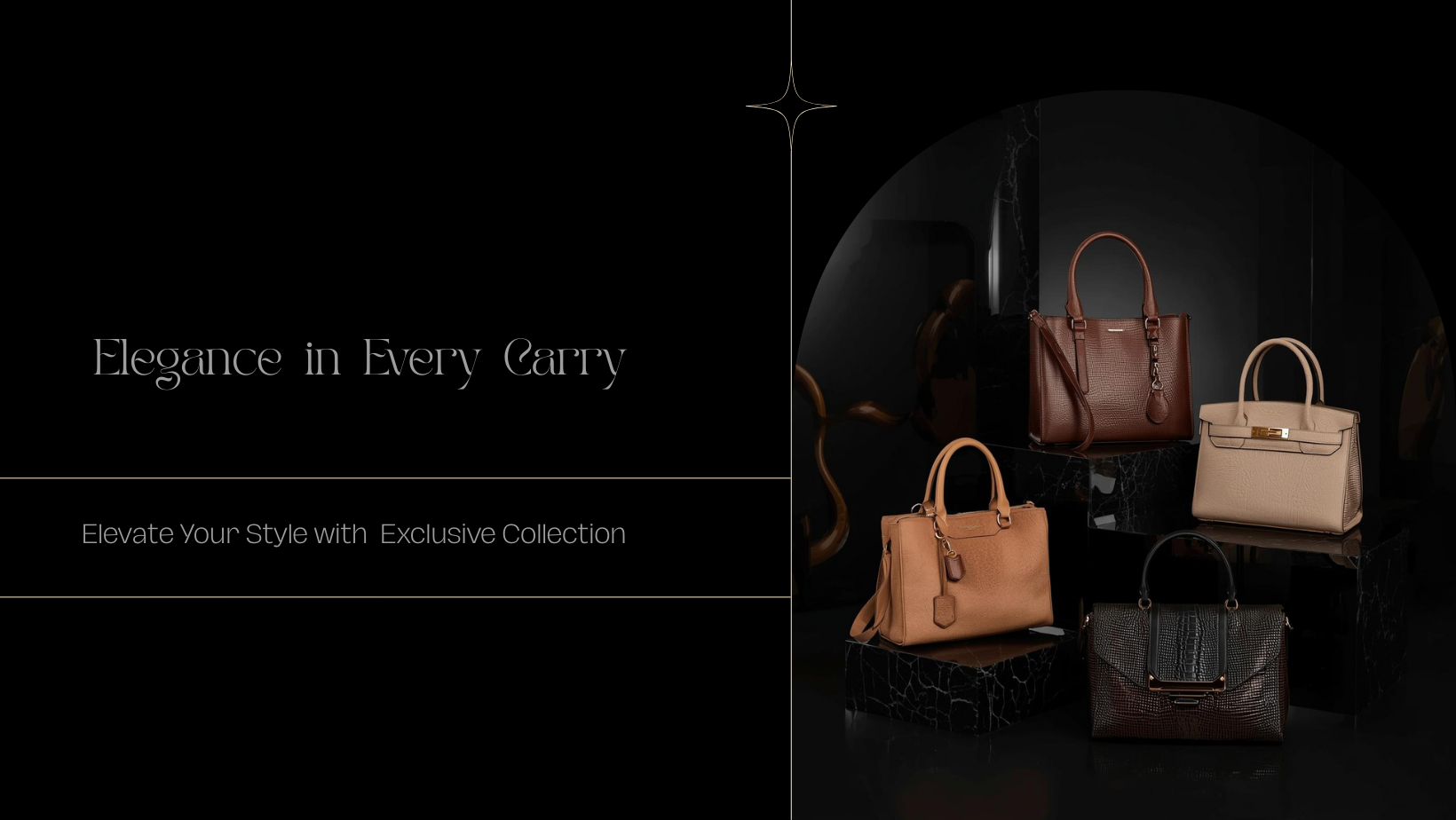 Premium Women's Bags Collection